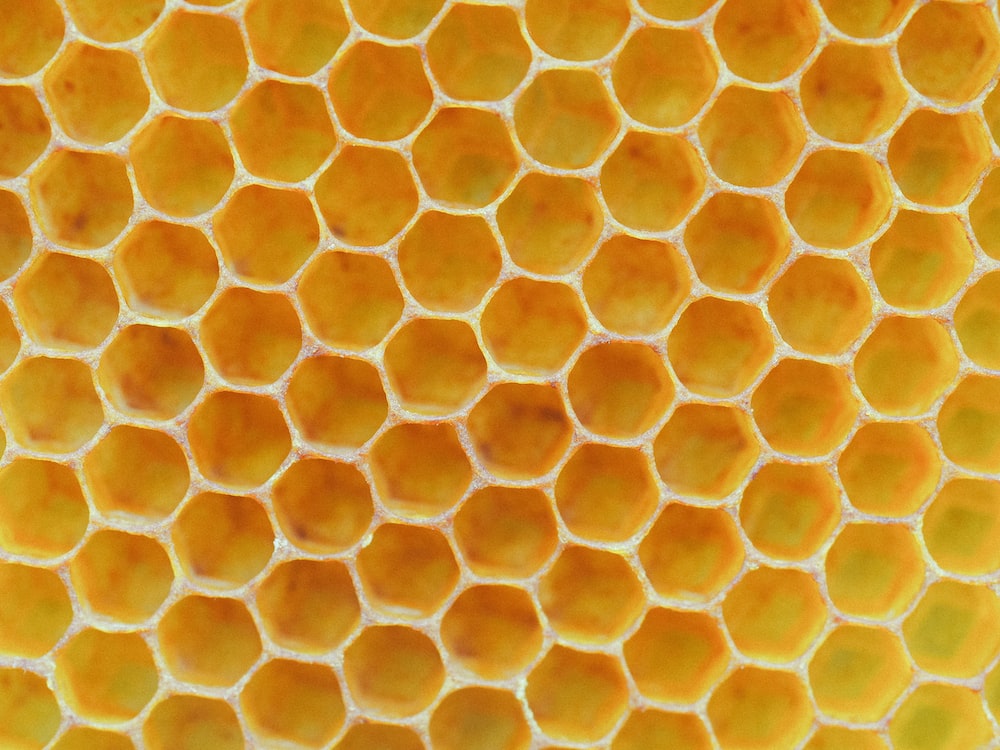 A grid of yellow hexagons, with white walls