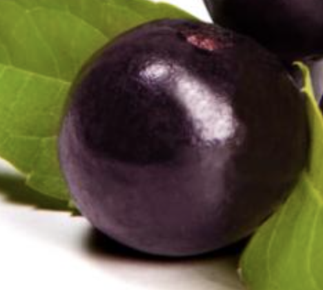 A spherical purple fruit.