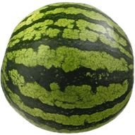 a round fruit whose rind is green with darker green stripes