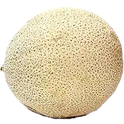 a round fruit with a beige rind with small green dots